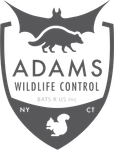 Adams Wildlife Control Logo Footer