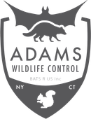 Adams Wildlife Control Logo