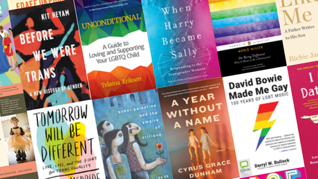 An image of LGBTQIA+ book covers