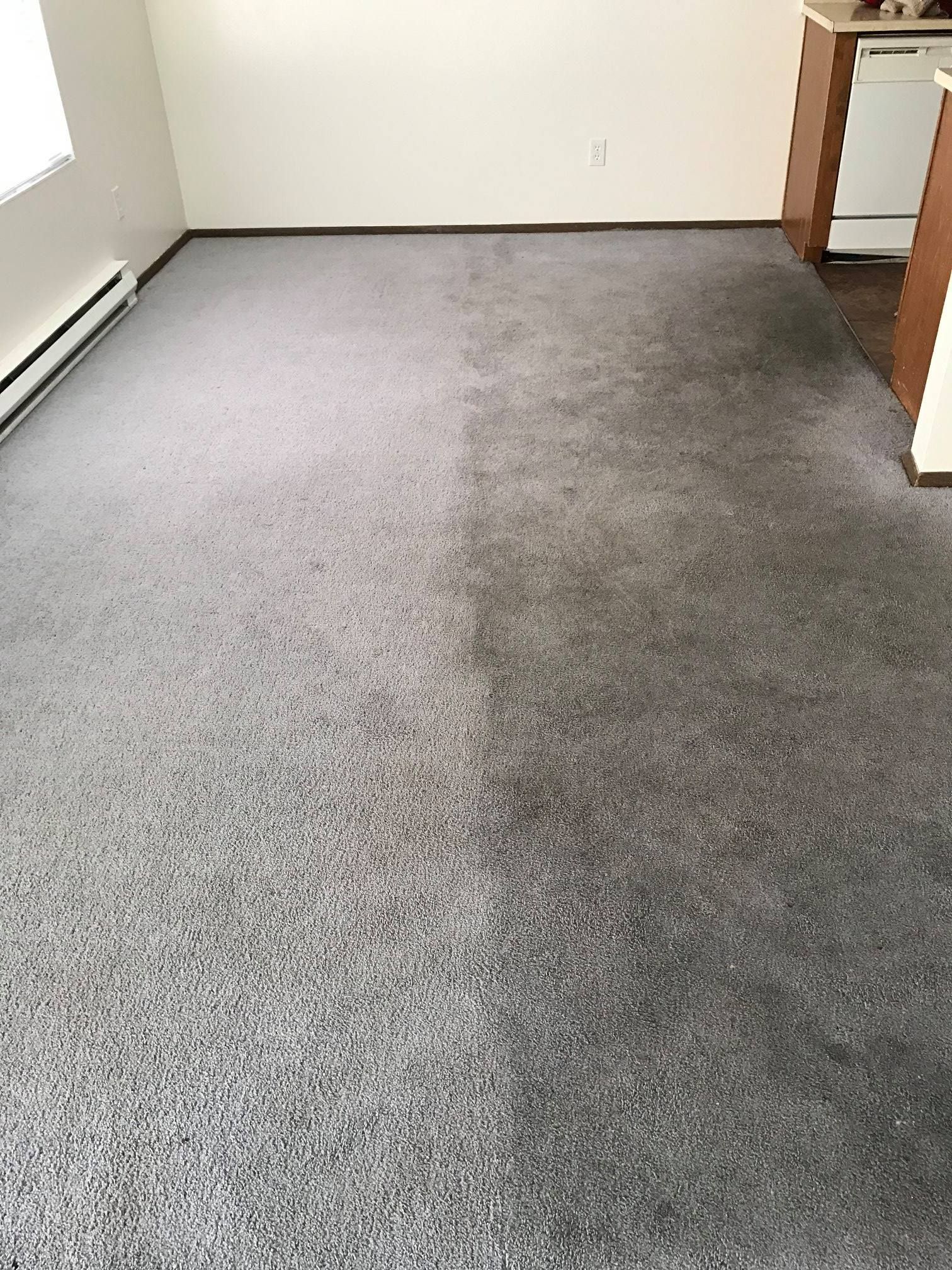 A living room with a gray carpet and a white wall.