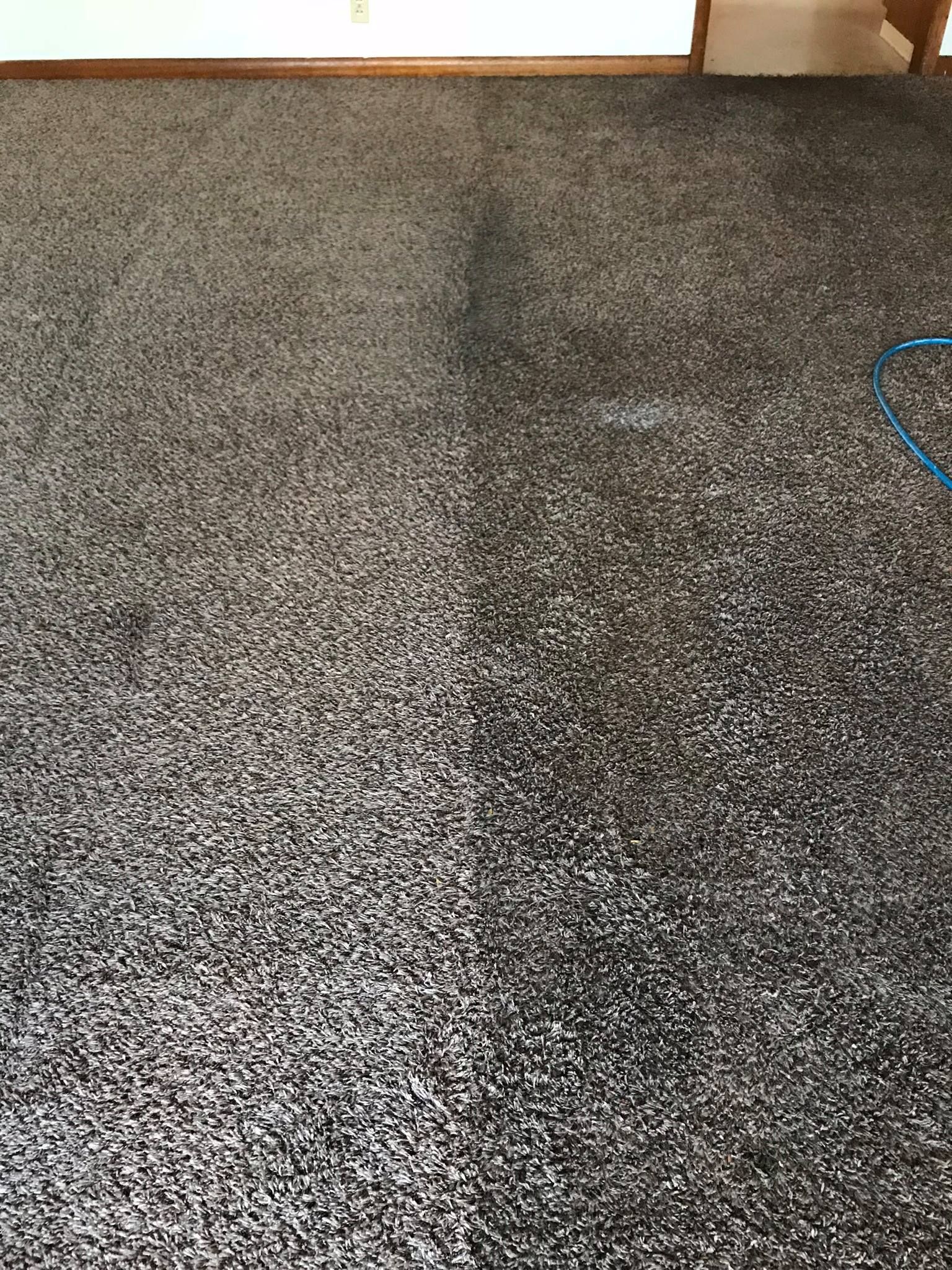 A close up of a gray carpet in a living room.