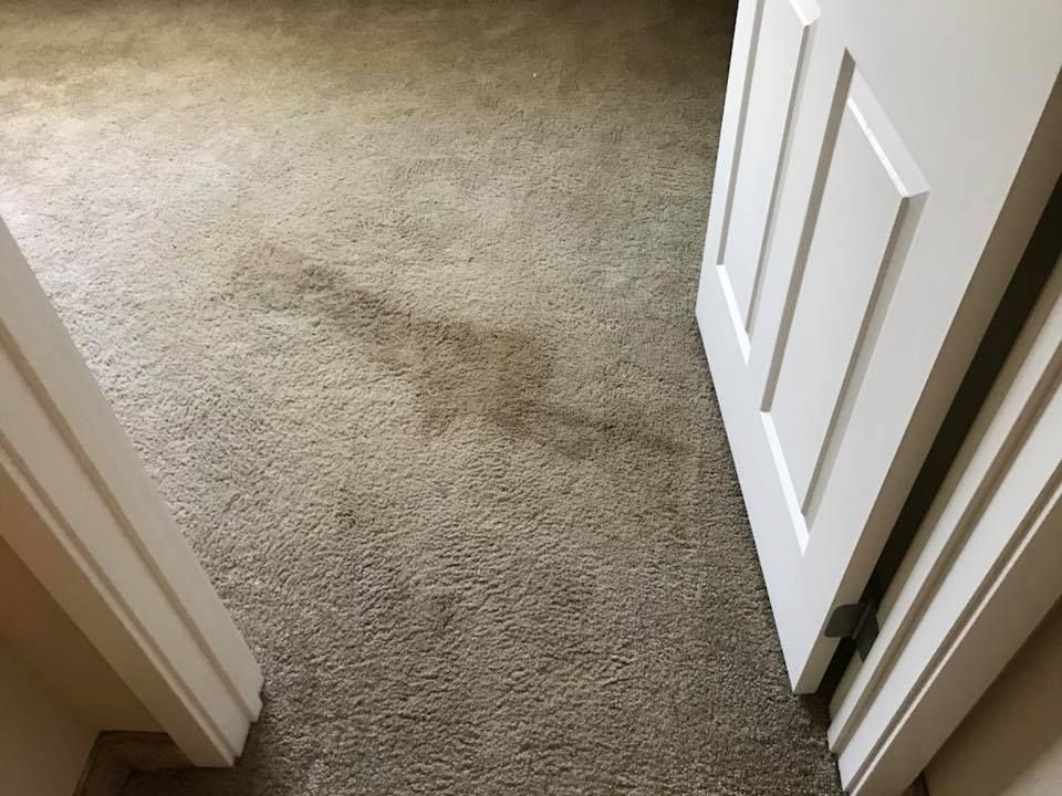 A room with a carpeted floor and a white door.
