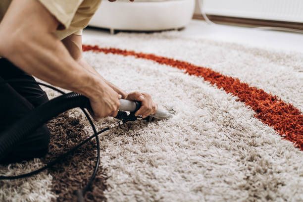 pet odor treatment carpet