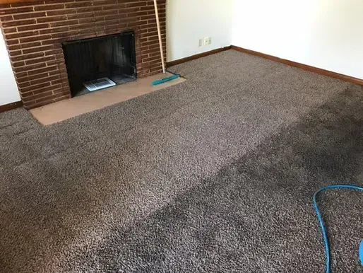 A living room with a fireplace and a carpeted floor.
