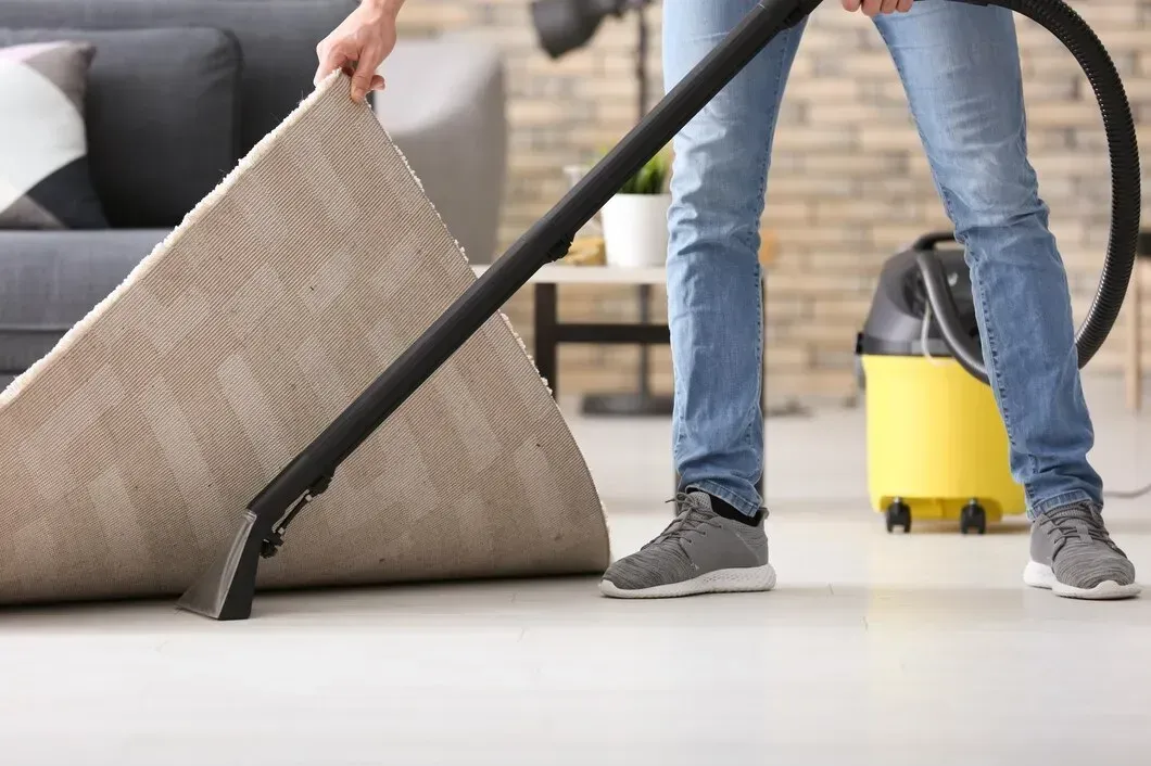 carpet cleaning millwood