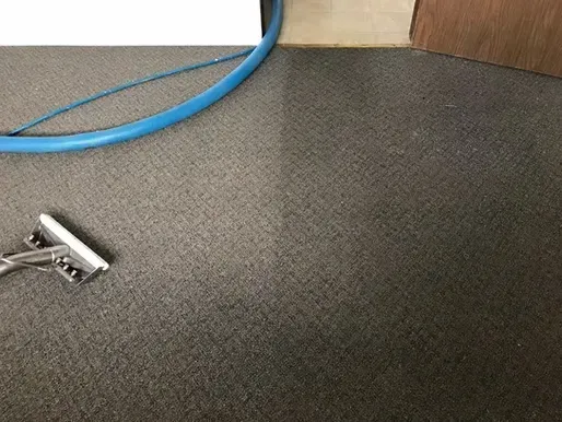 A vacuum cleaner is sitting on top of a carpet in a room.