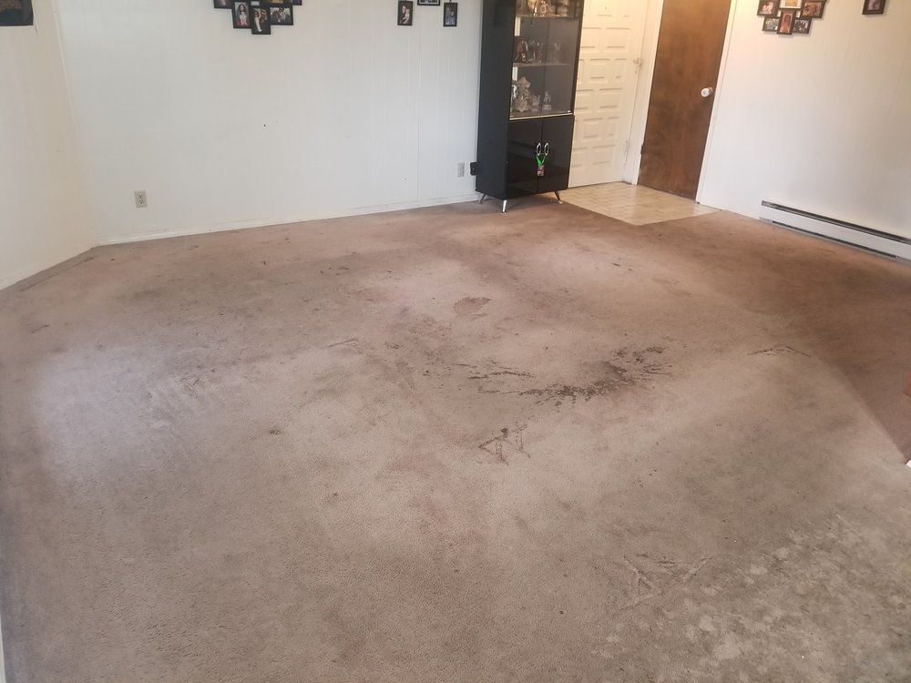 A living room with a brown carpet and white walls