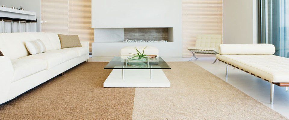 Expert carpet cleaning