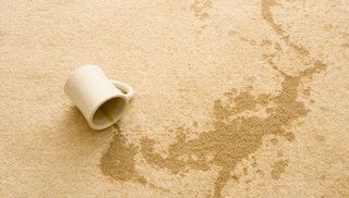 carpet stain removals