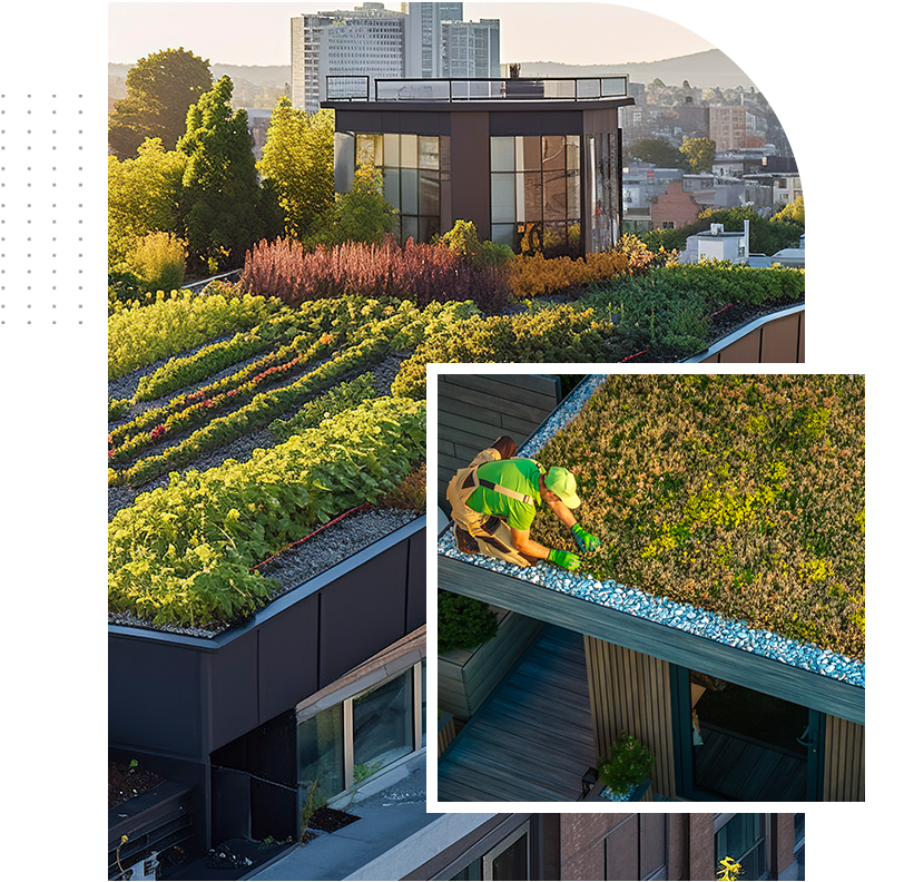 A green lizard is sitting on the roof of a building.