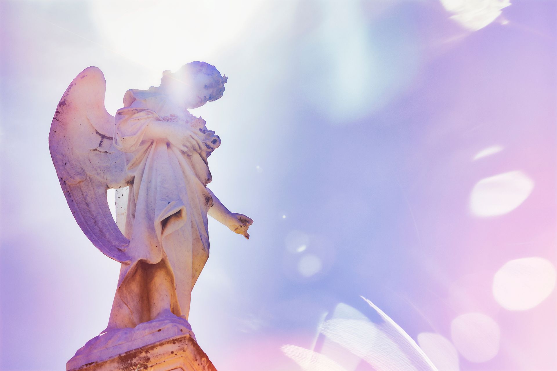 Statua di un angelo in pietra bianca, immersa nella luce del sole su uno sfondo bokeh viola e rosa.
