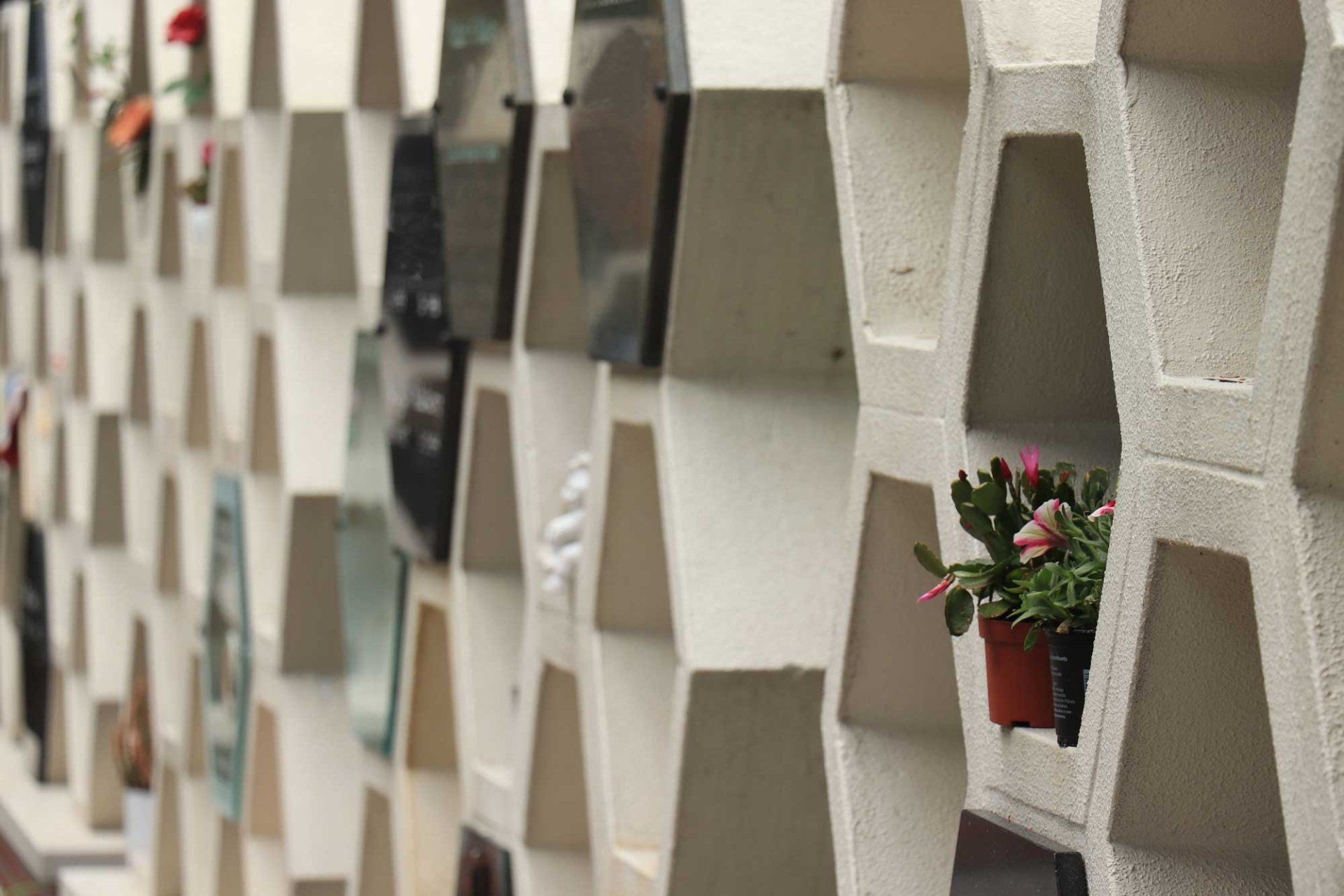 loculi di un cimitero