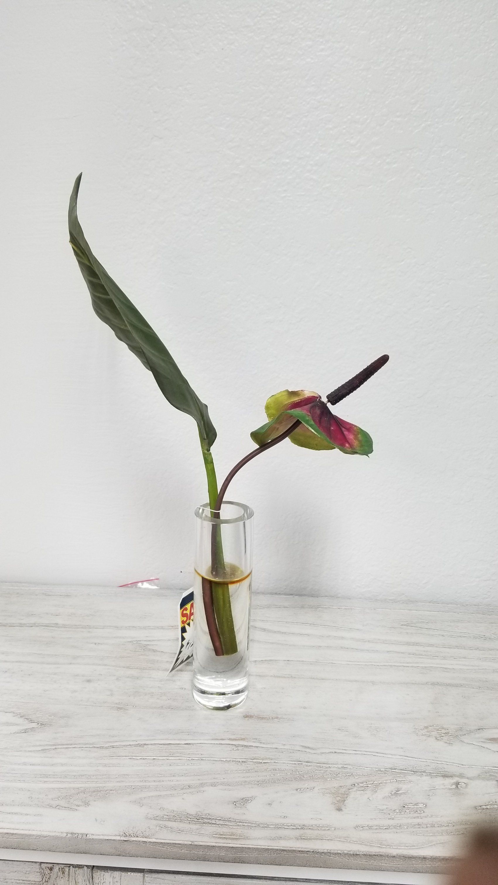 Small silk plant in glass vase.