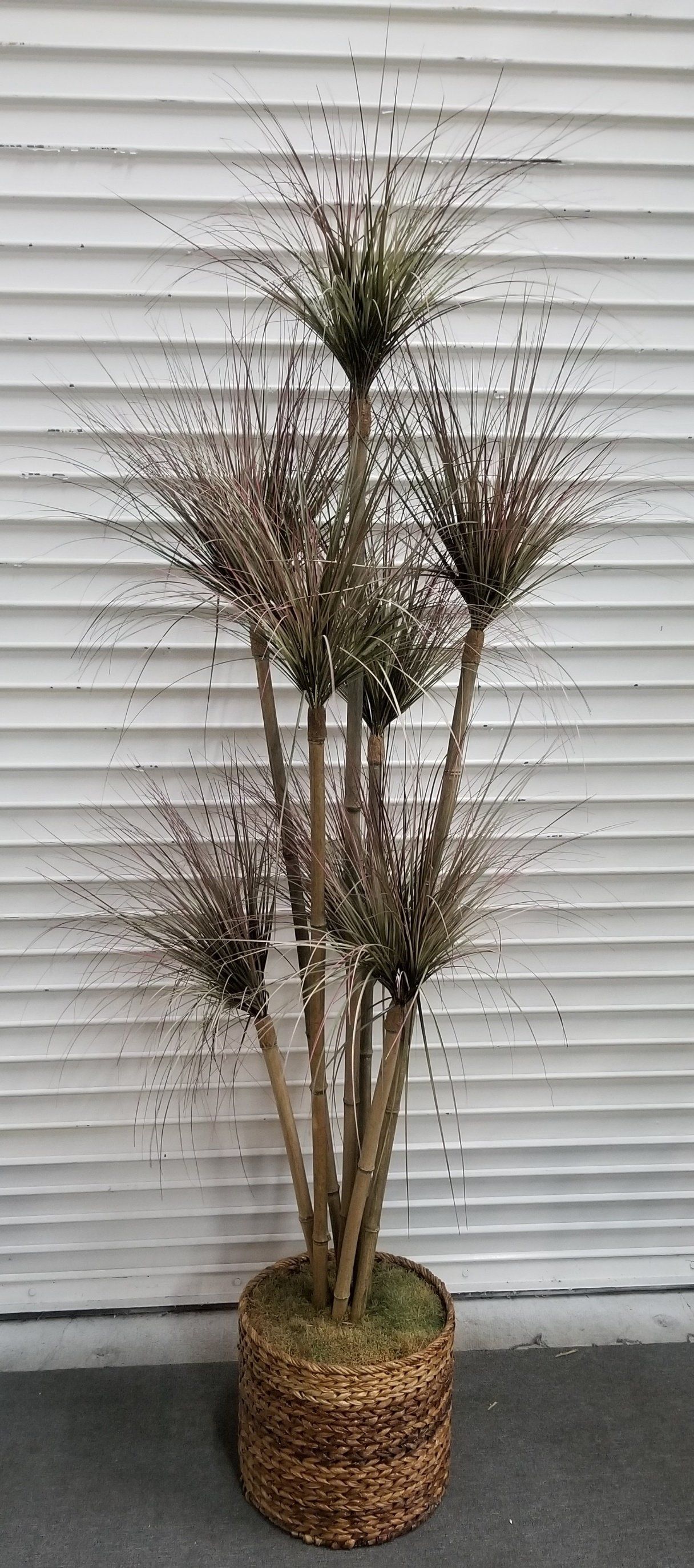 Silk Tree with Miltiple Heads.