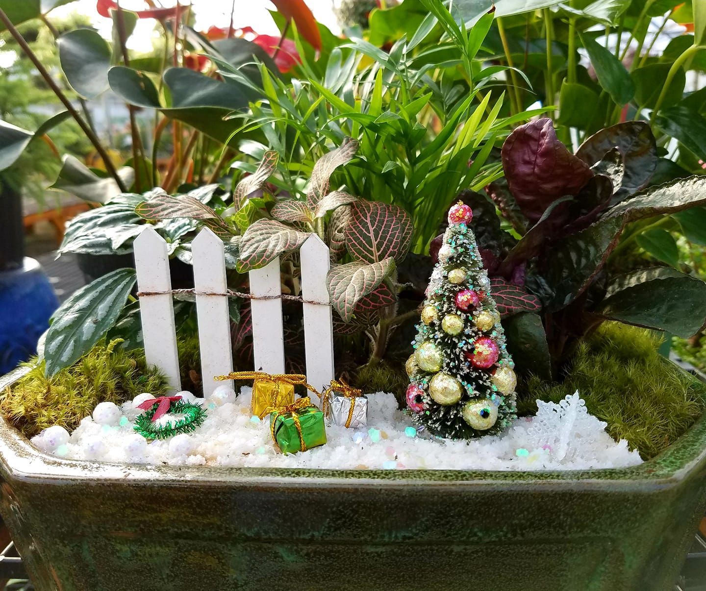 seasonal plants and decorations
