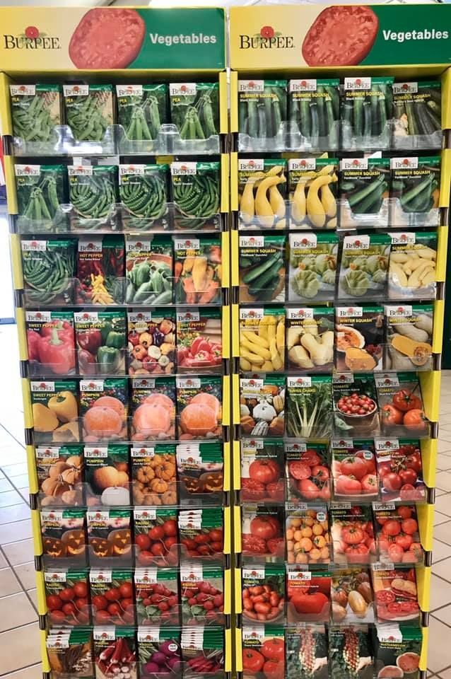 vegetable starters and seeds