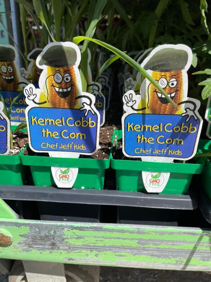 vegetable starters and seeds