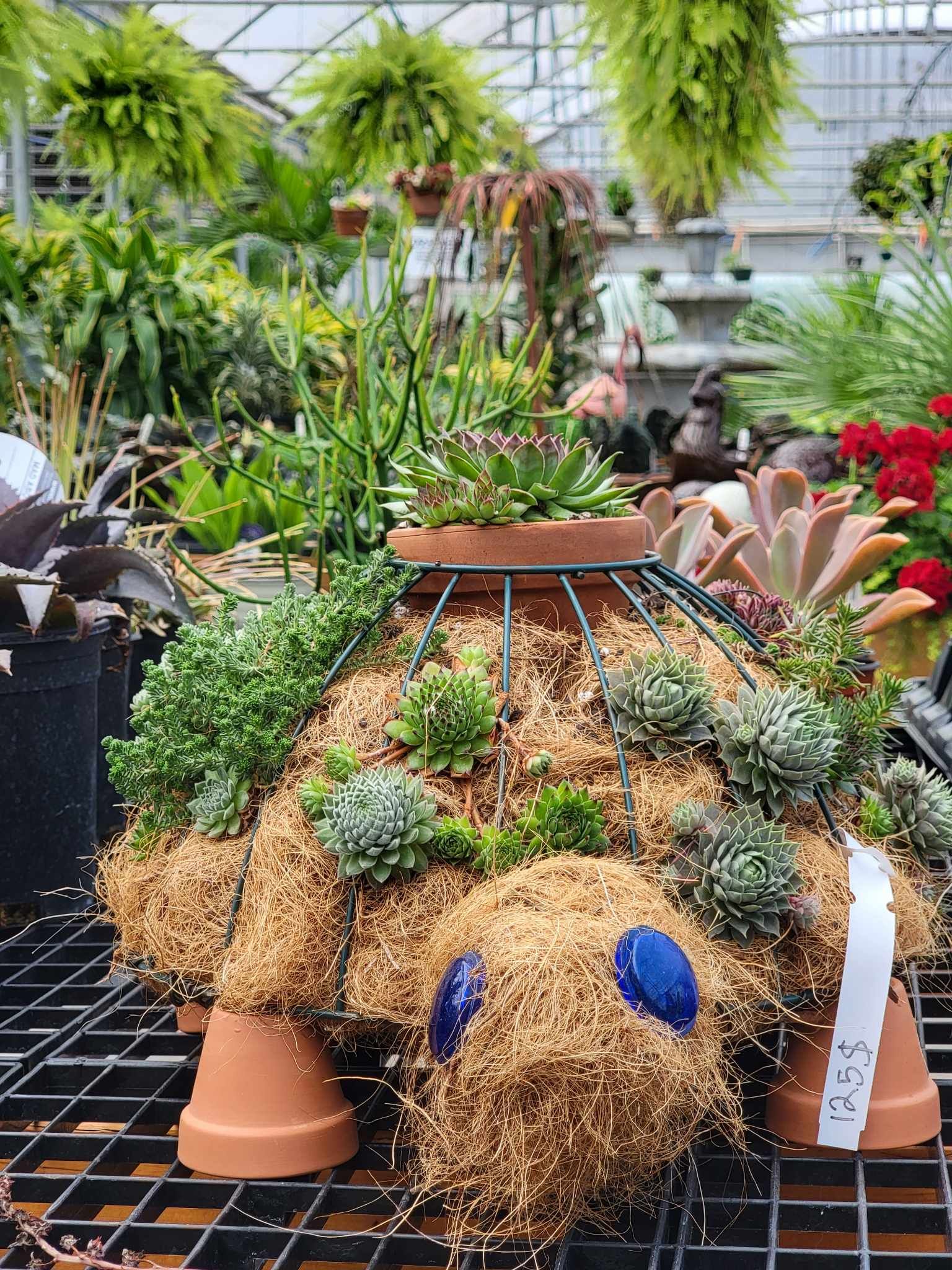 Garden City Succulent Turtle Sculpture