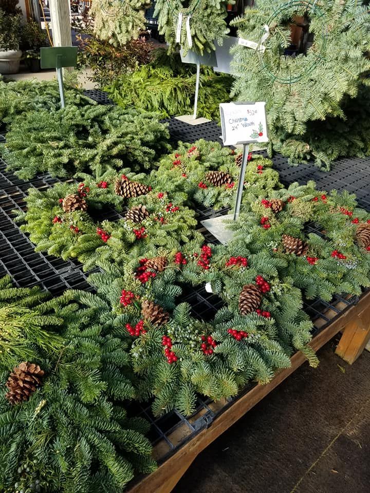 seasonal plants and decorations