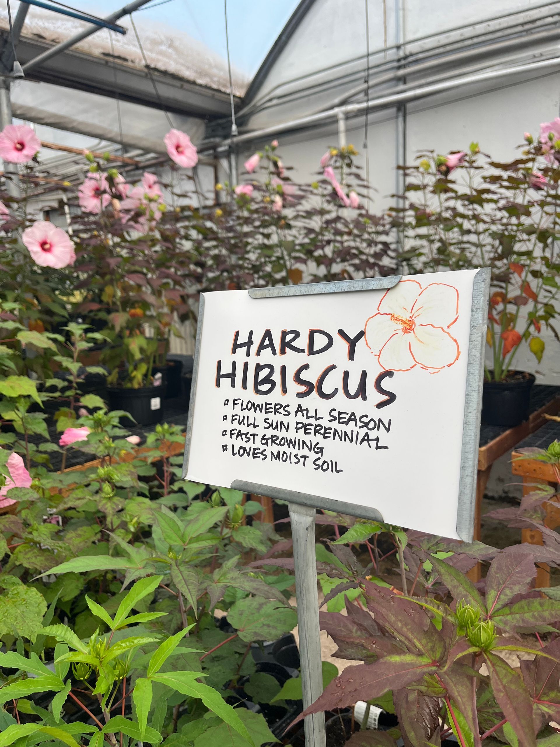 bogle's seasonal deals