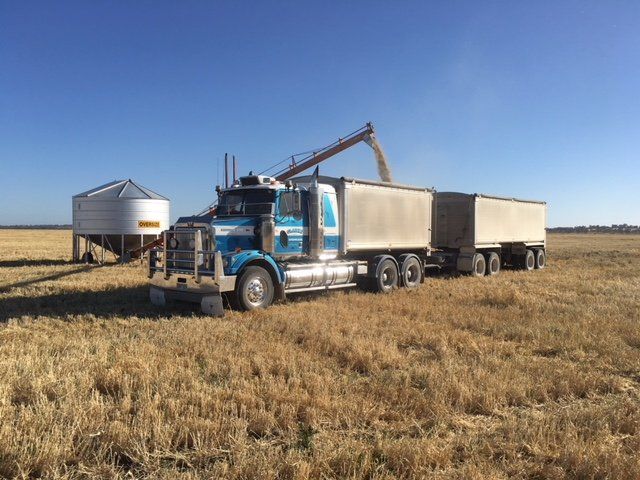 view of a truck getting loaded with farm produce