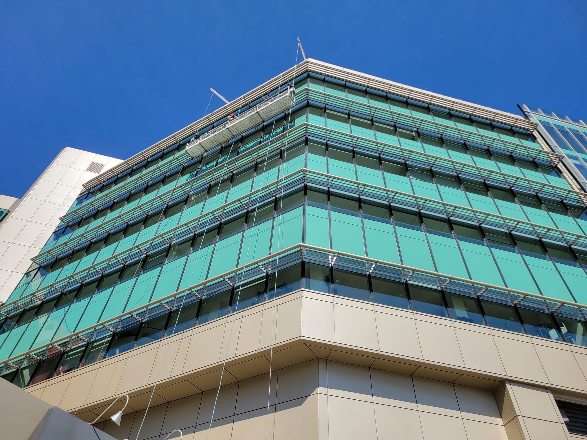 Regardant un grand bâtiment avec des fenêtres vertes