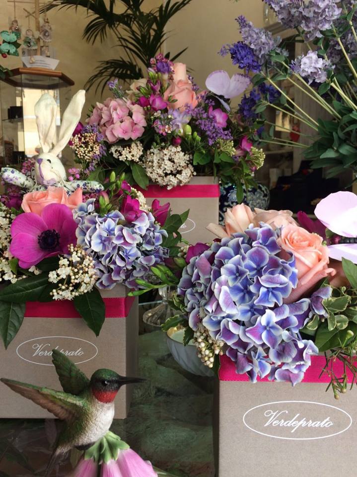 esposizione di piante e fiori in vendita