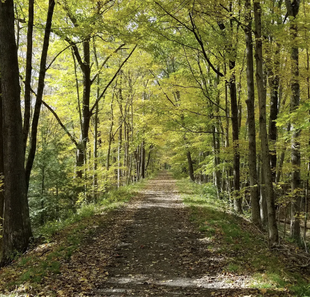 Larkin State Bridle Trail