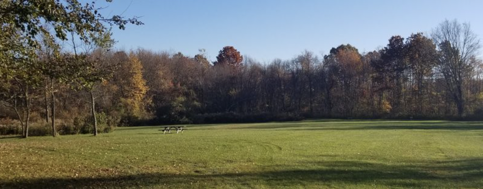 Andrew Mountain Park