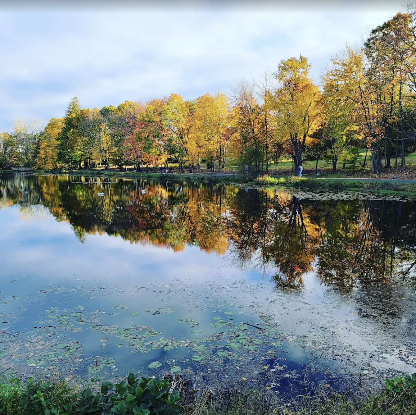 Whittemore Glen State Park Scenic Reserve