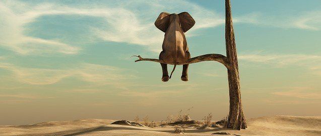 an elephant hanging from a tree in the desert.