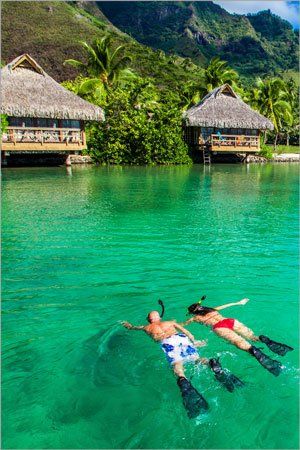 A couple snorkelling in the  ocean