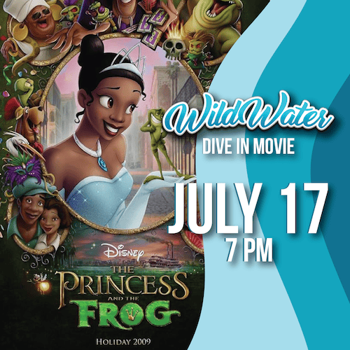 A movie poster for the princess and the frog