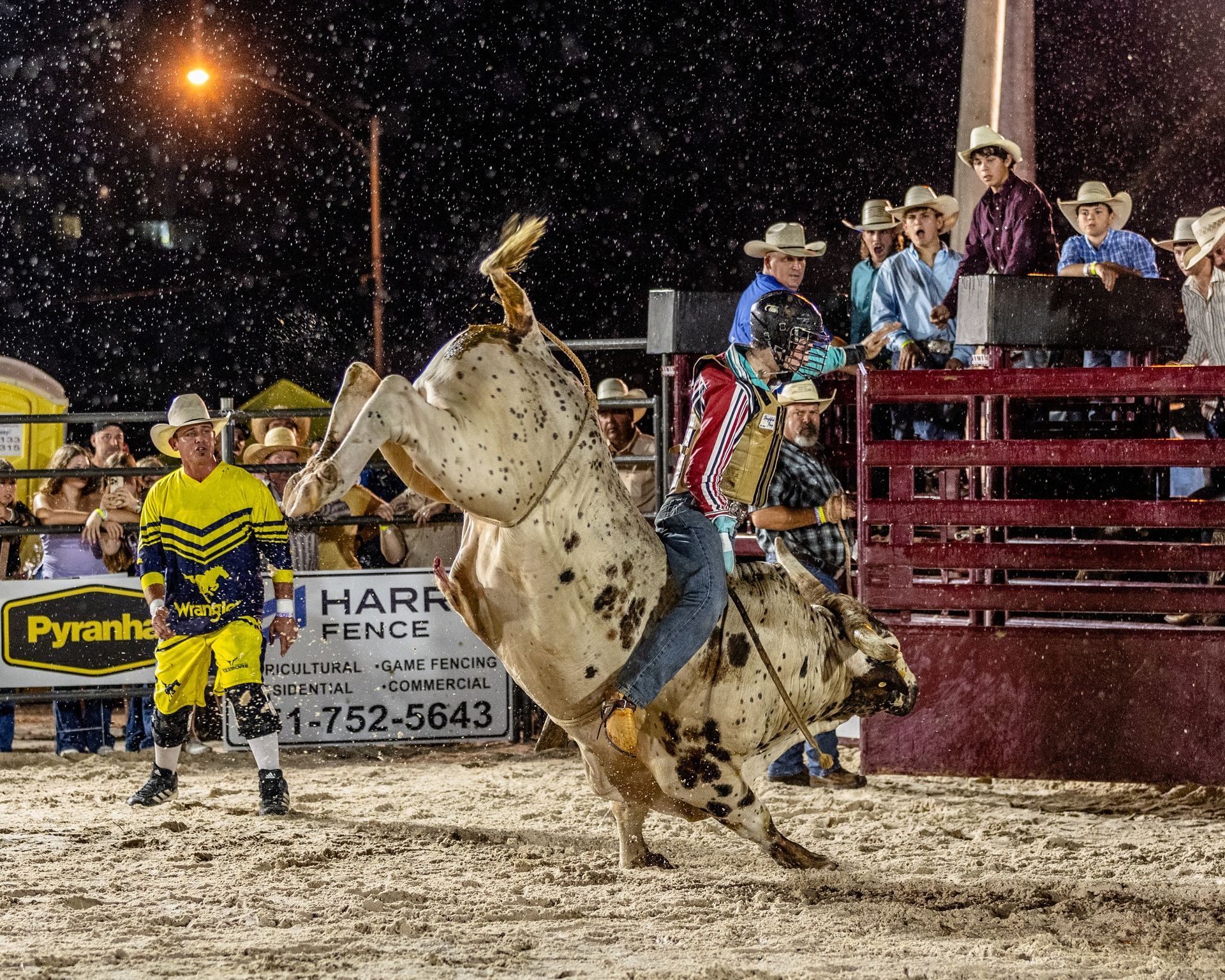 Professional bull riders competing in Flora-Bama's  Bulls on the Beach