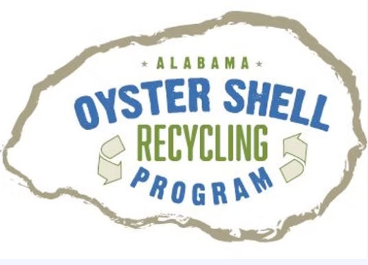 fresh oysters, raw oysters, gulf oysters, oysters near me