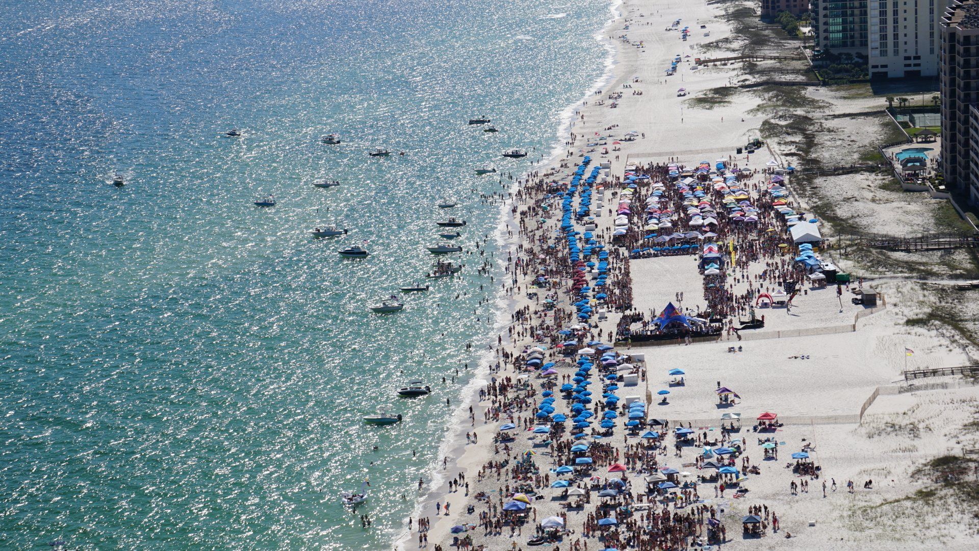 FLORABAMA MULLET TOSS