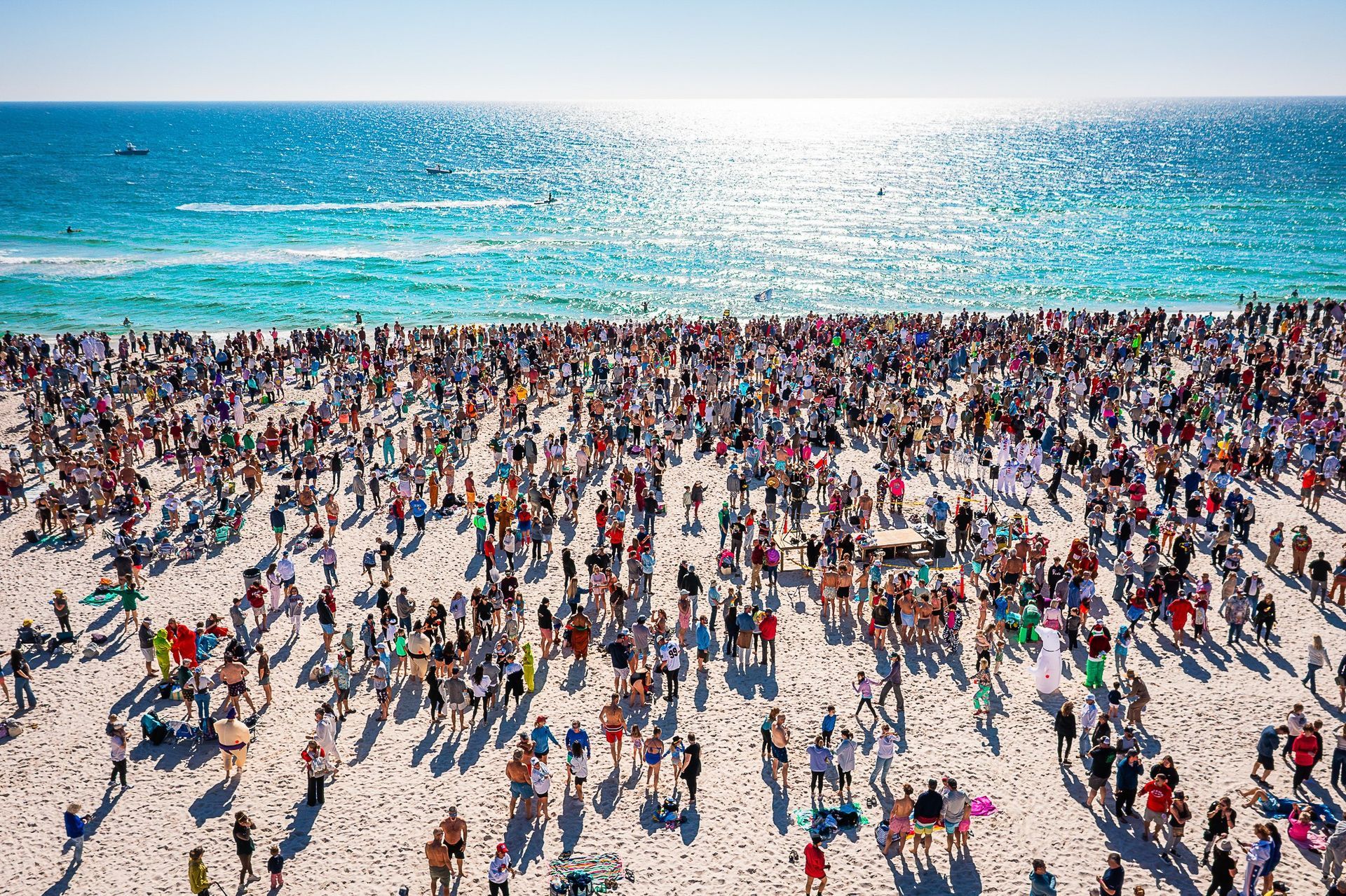 Flora-Bama Polar Bear Dip