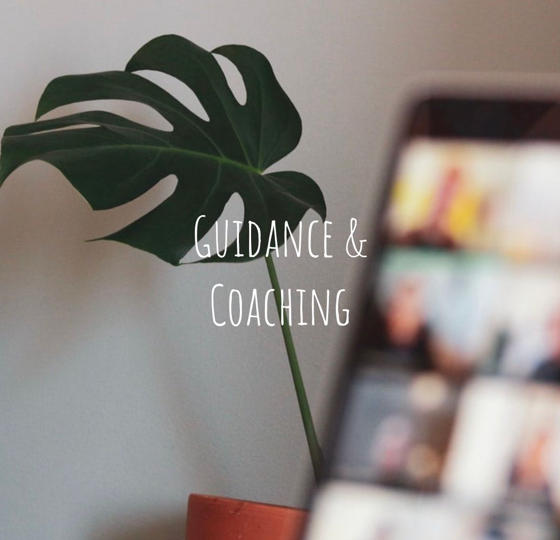 Plant with large leaf in terracotta pot, smartphone displaying a video call, and text