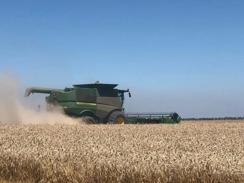 A combine harvester is working in a field of wheat.