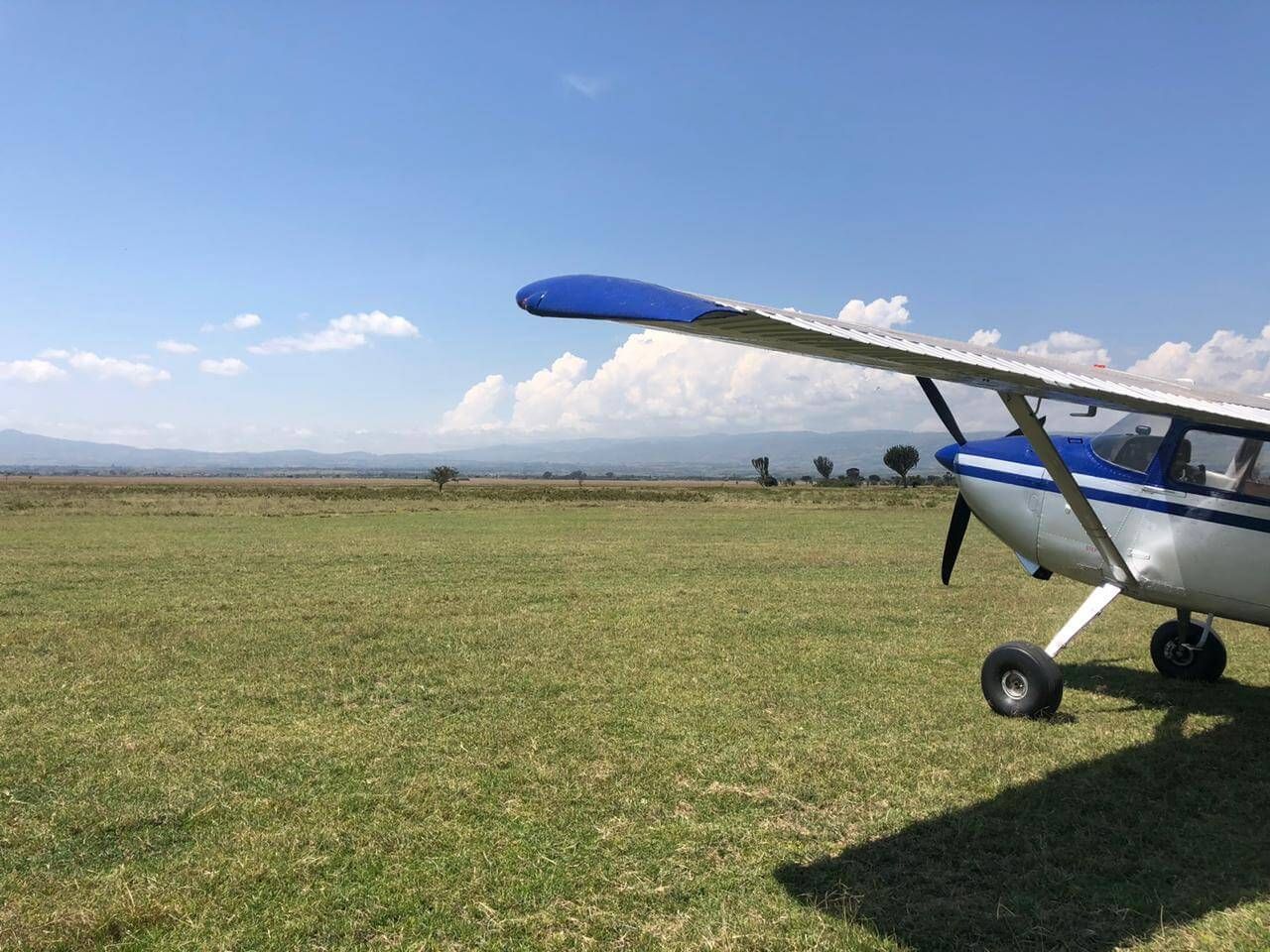 A small plane is parked in a grassy field.