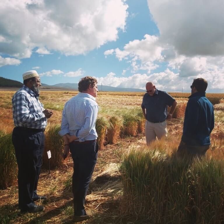 A group of men are standing in a field talking