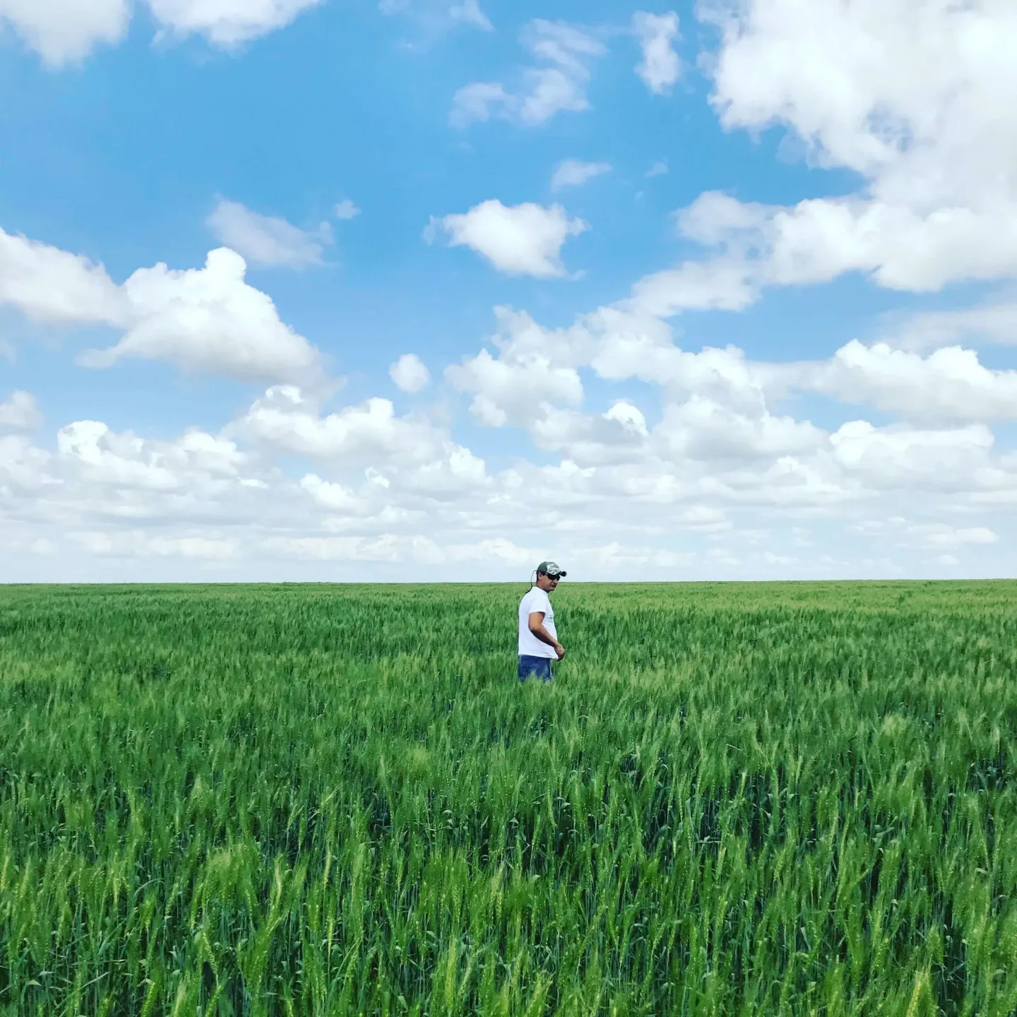 A man is standing in the middle of a green field