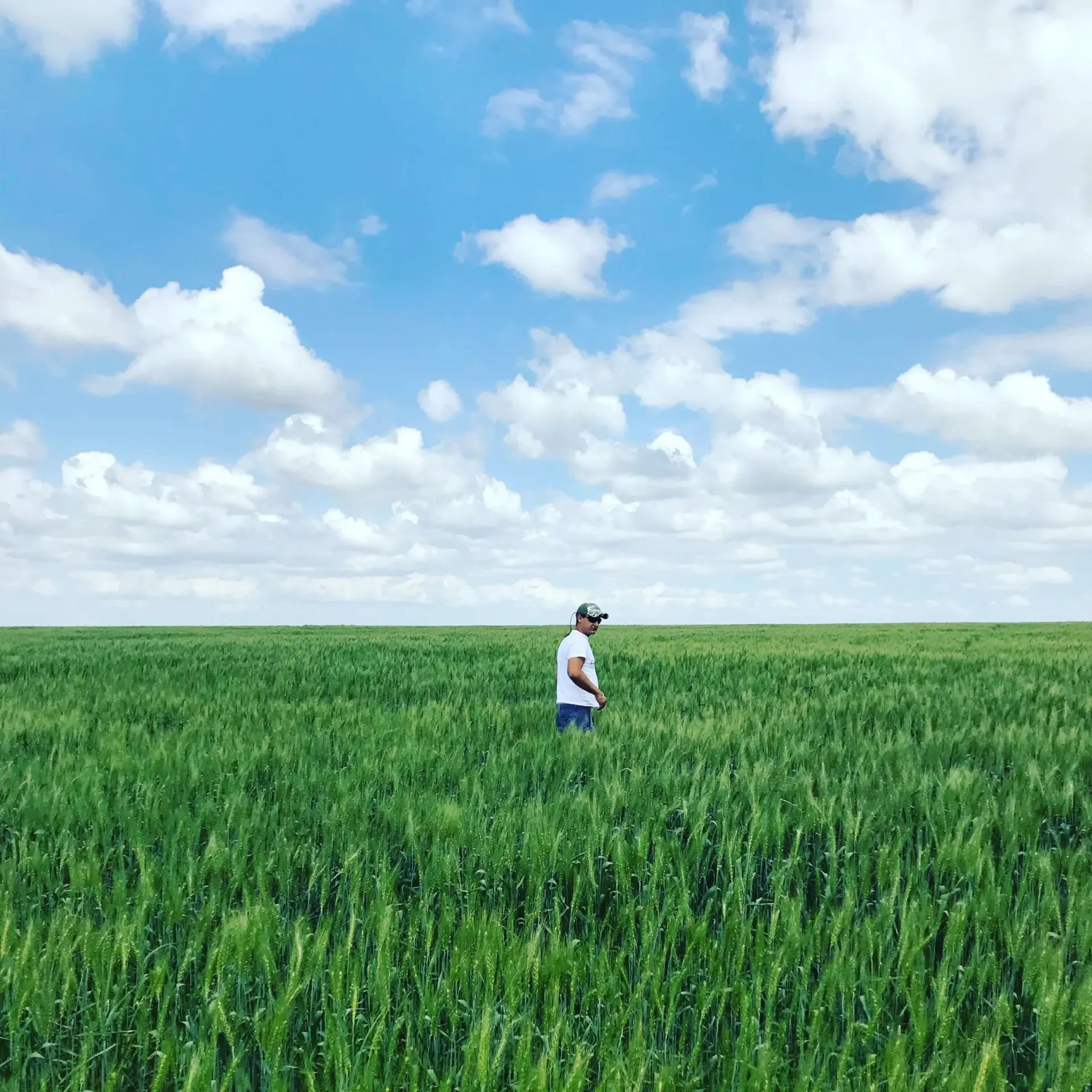 A man is standing in the middle of a green field