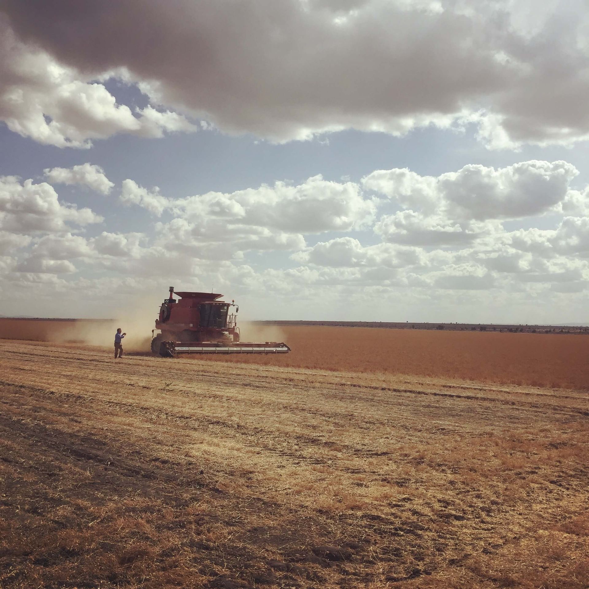A combine harvester is working in a dry field