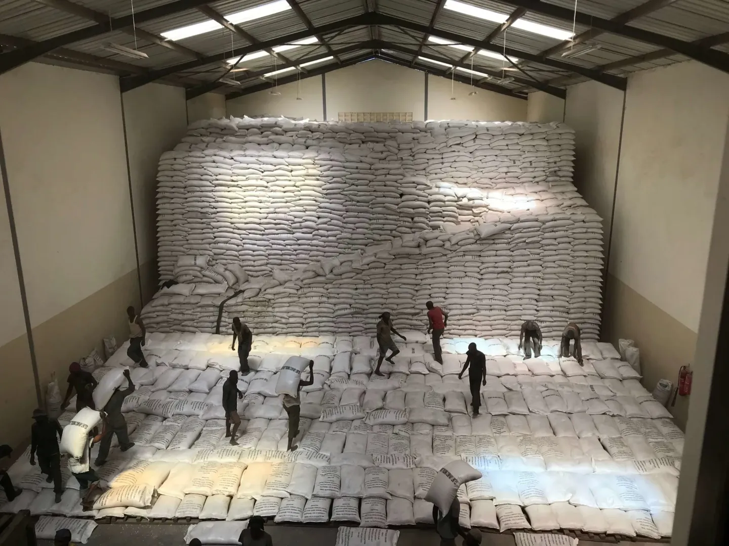 A group of people are standing in front of a large pile of bricks.
