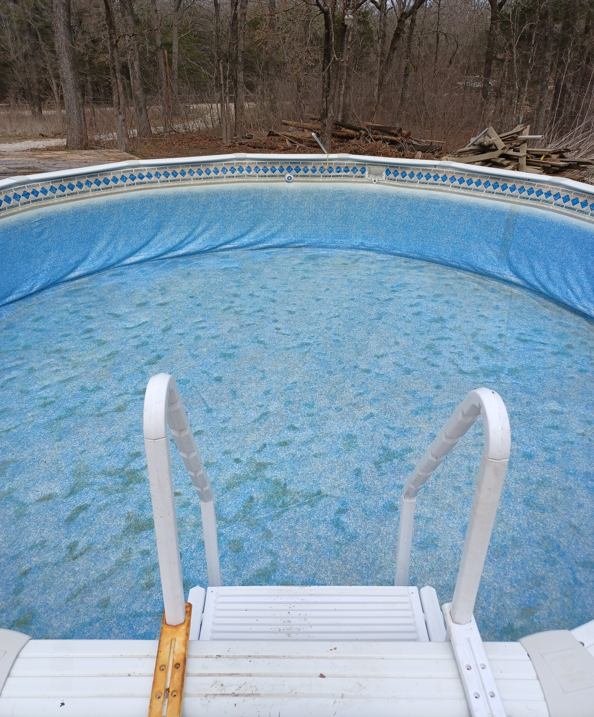An above-ground swimming pool filled with water, featuring a white plastic entry ladder in the foreground.