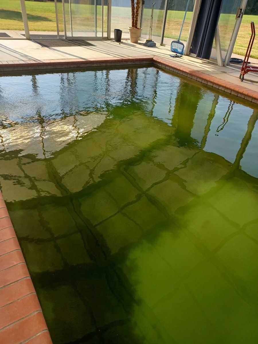 An outdoor swimming pool filled with stagnant, cloudy green water, seen under a partial enclosure.