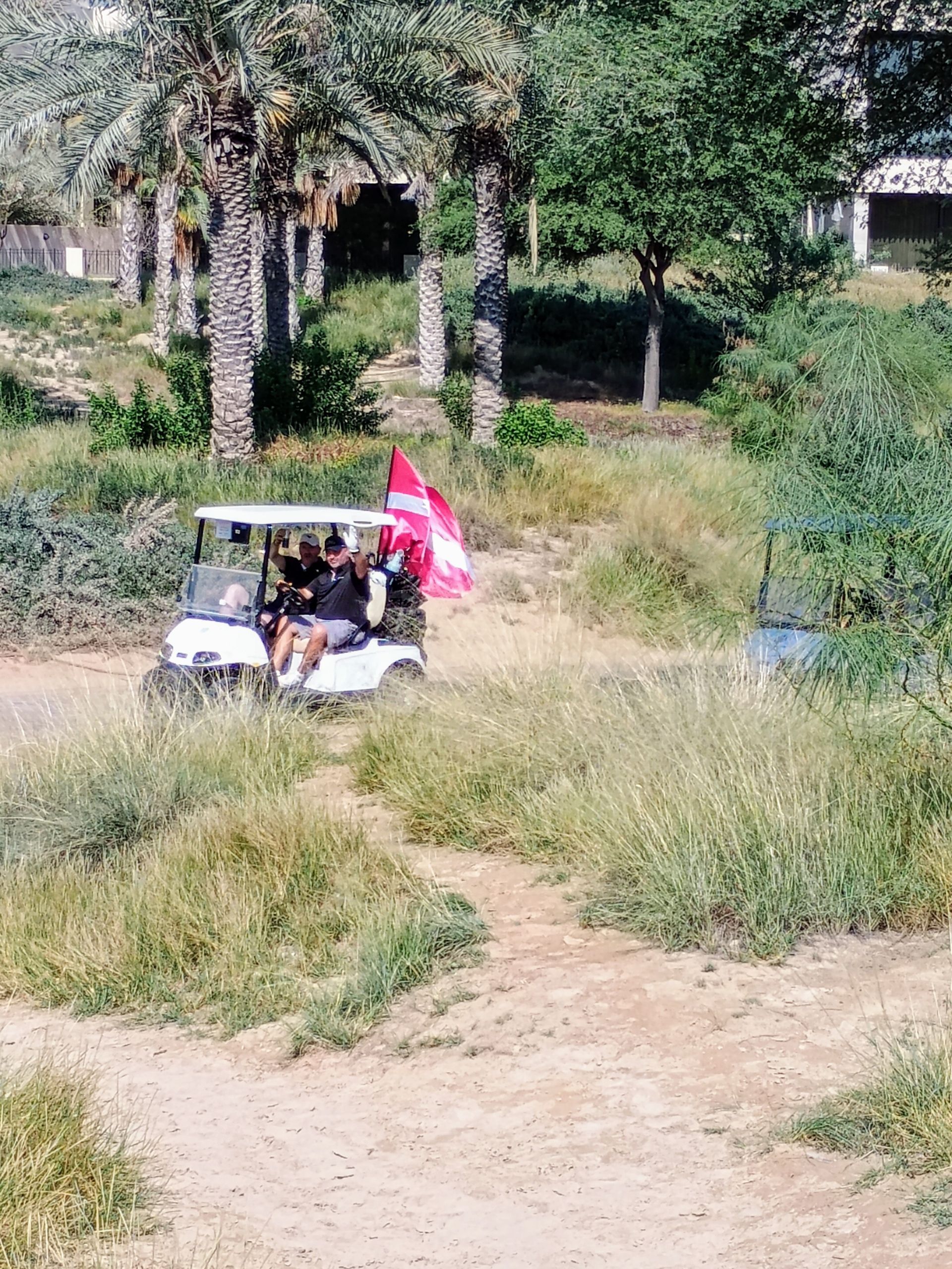 Team Denmark - Champions 2024