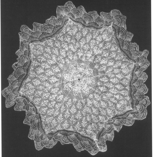 Parasol by Letitia Veevers presented 1856 to Royal Botanic Gardens, Kew