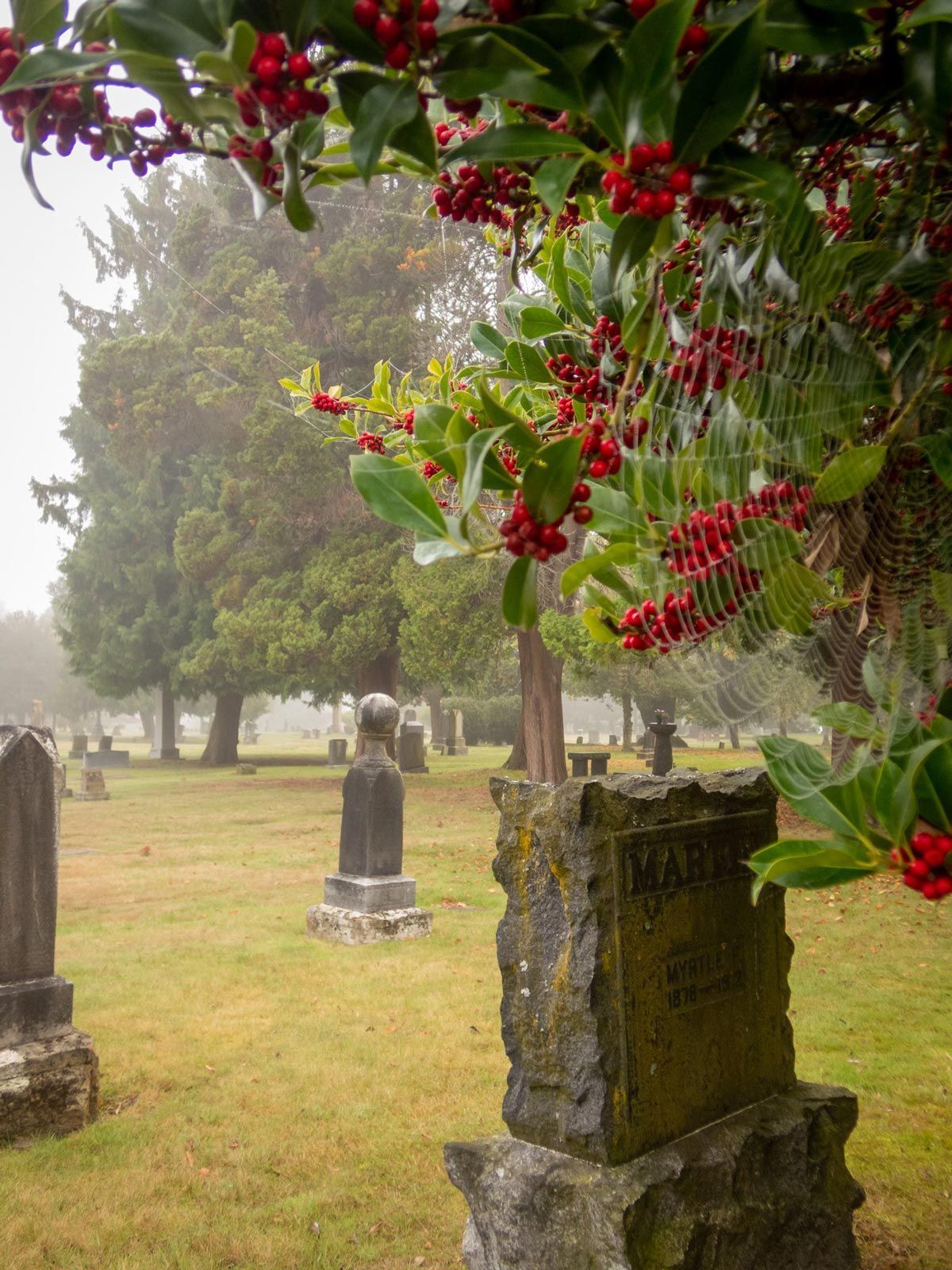 Gravestones In Cemetery — Seattle, WA — Mt Pleasant Cemetery